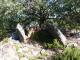 Dolmen du Mas Payrot ou de Los Masos