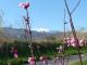 Le Canigou