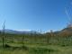 Le Canigou et Casenoves