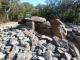 Dolmen du Puig al Fournas
