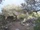 Ruines de Casenoves
