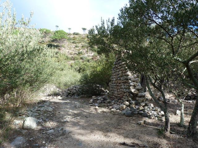 Ruines de Casenoves